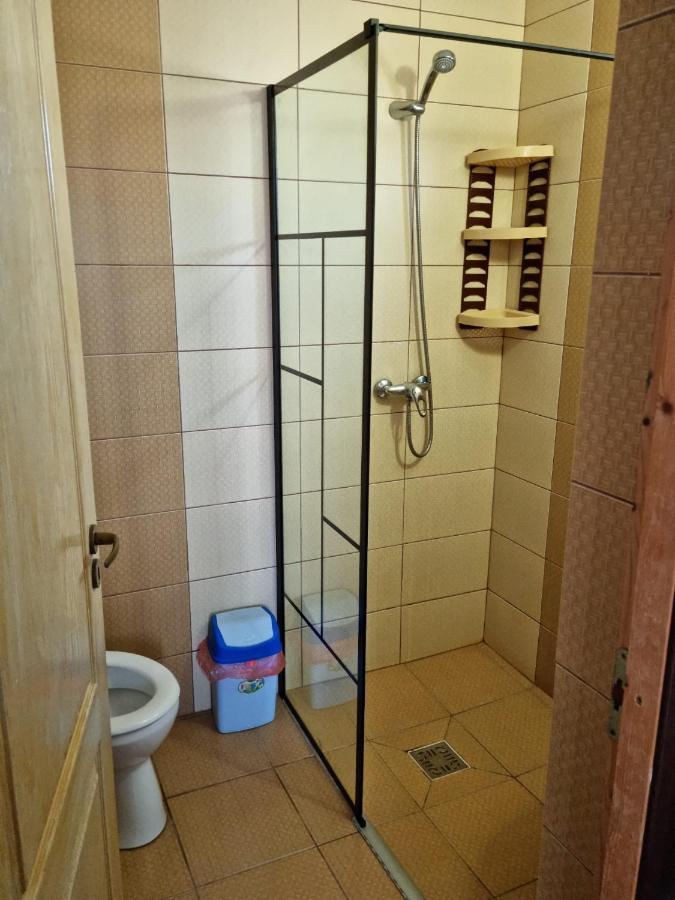 Vila Nico 科斯蒂内什蒂 外观 照片