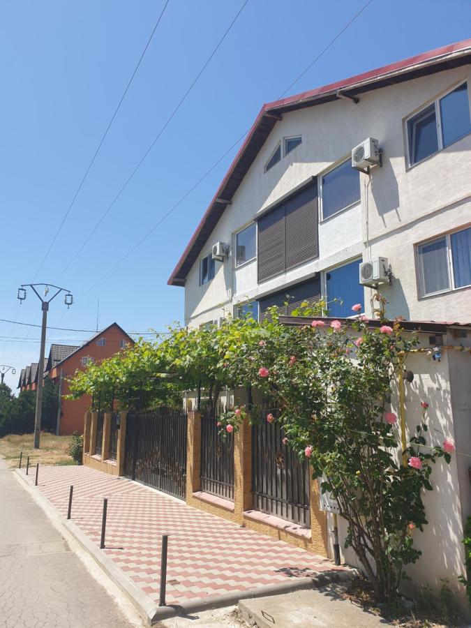 Vila Nico 科斯蒂内什蒂 外观 照片