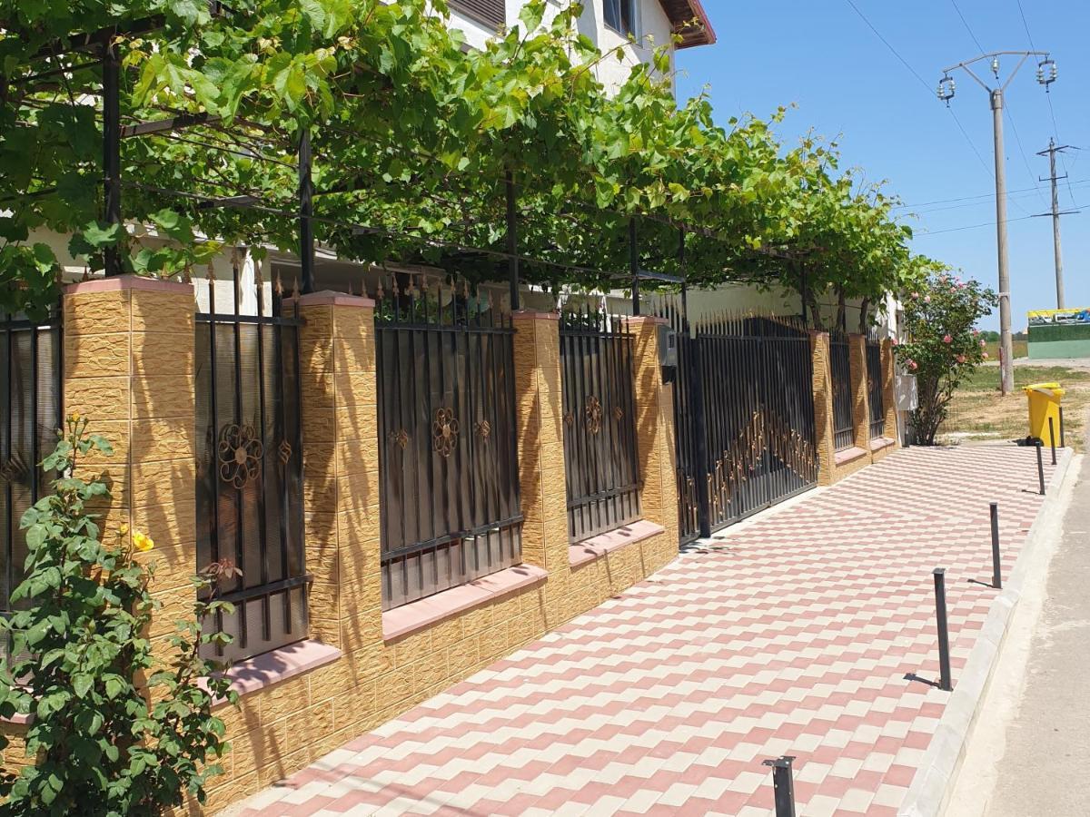 Vila Nico 科斯蒂内什蒂 外观 照片