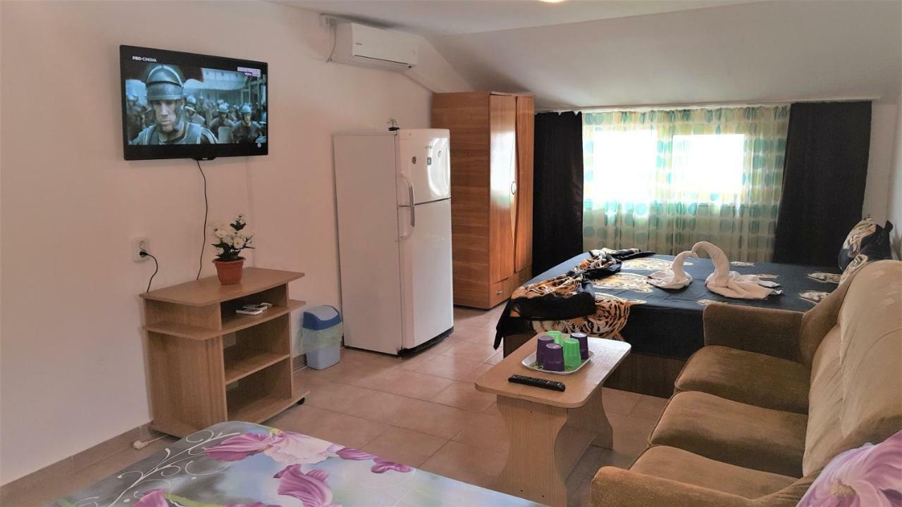 Vila Nico 科斯蒂内什蒂 外观 照片